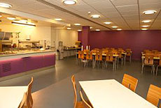 Curso Junior Ingles Cardiff